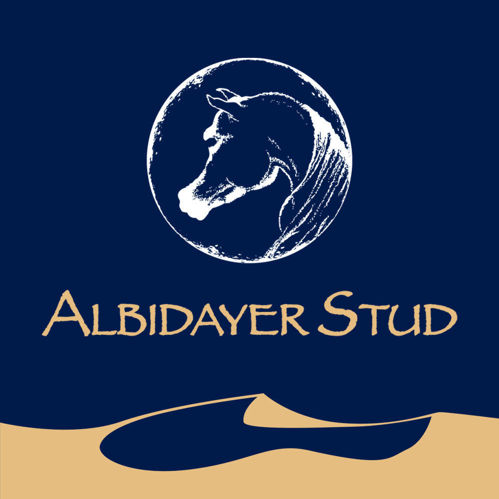 Albidayer Stud