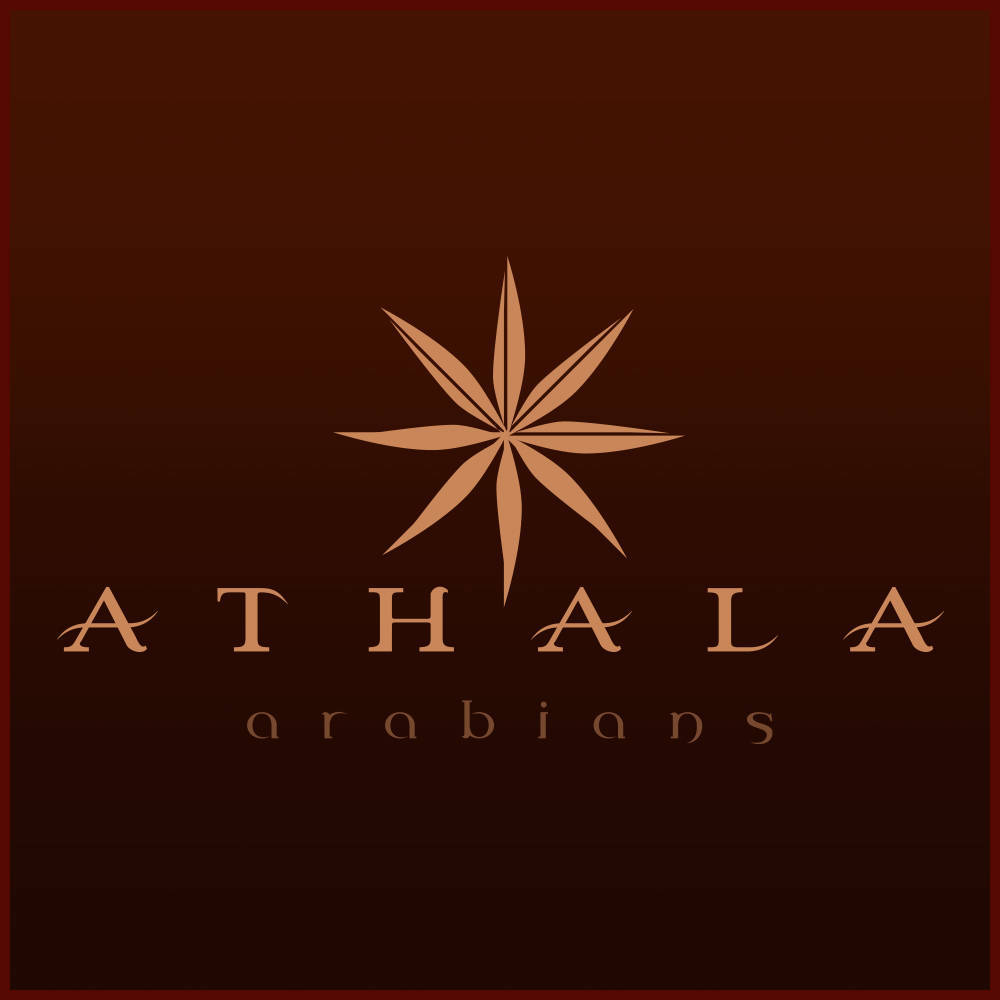 Athala Arabians