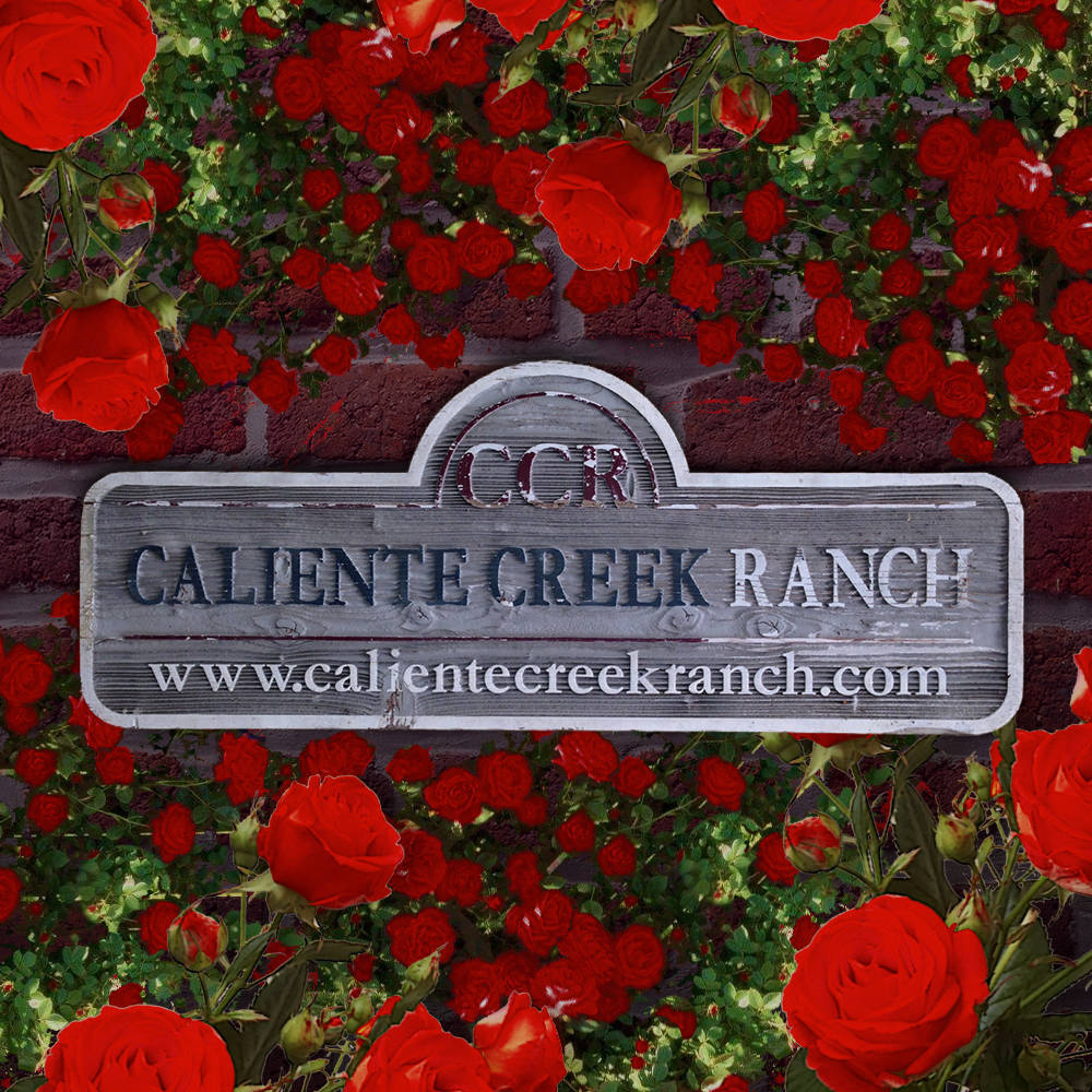 Caliente Creek Ranch