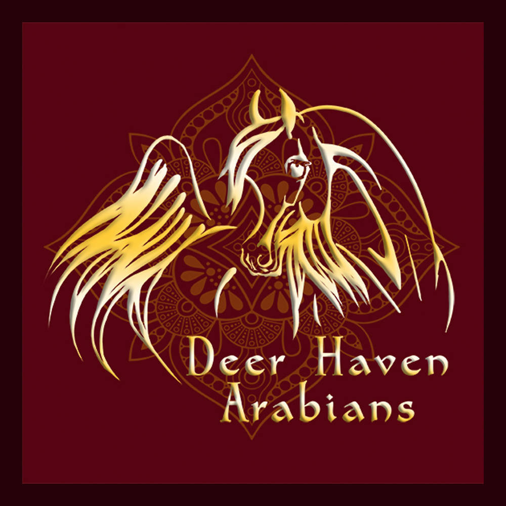 Deer Haven Arabians