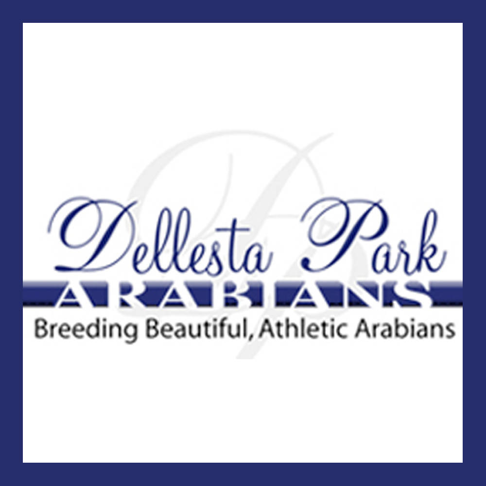Dellesta Park
