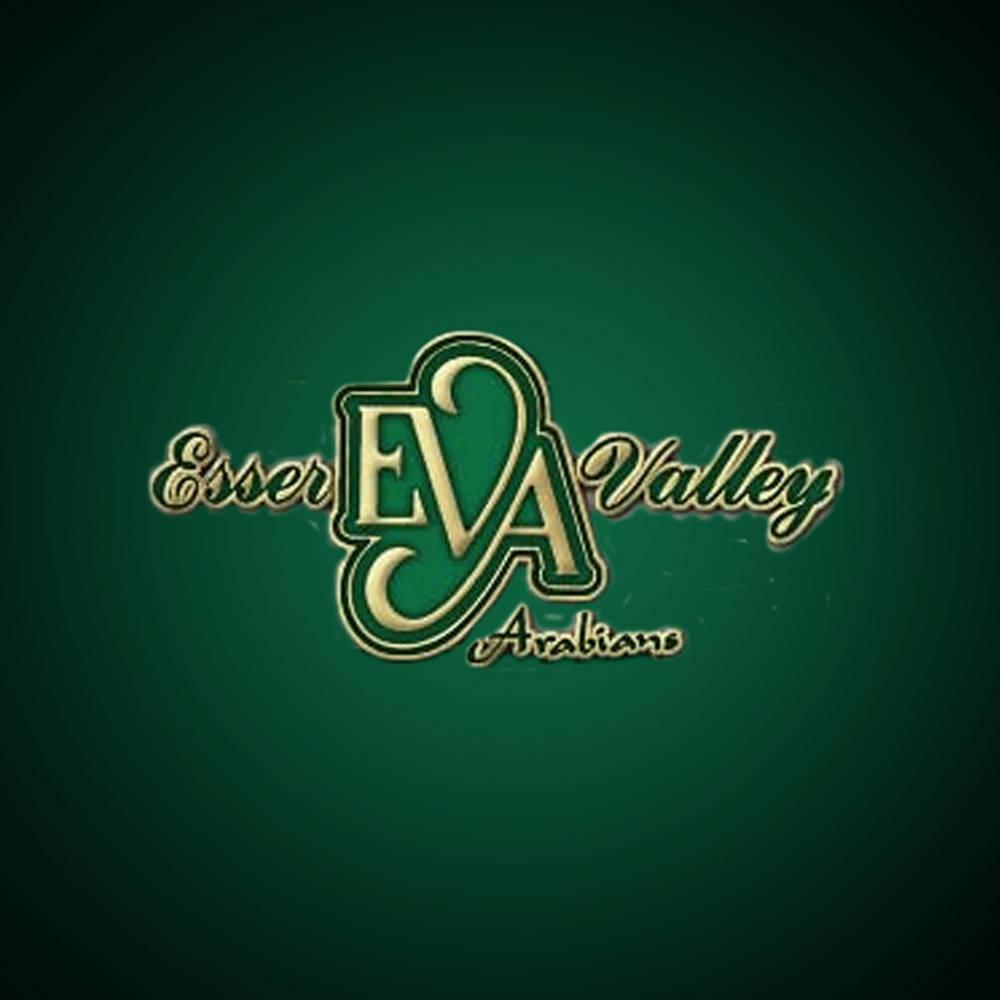 Esser Valley Arabians