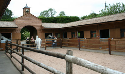 2006 Halsdon Stud 