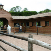 2006 Halsdon Stud 