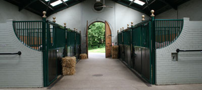 2006 Halsdon Stud 