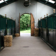 2006 Halsdon Stud 