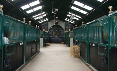 2006 Halsdon Stud 