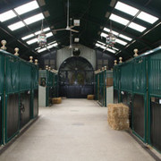2006 Halsdon Stud 