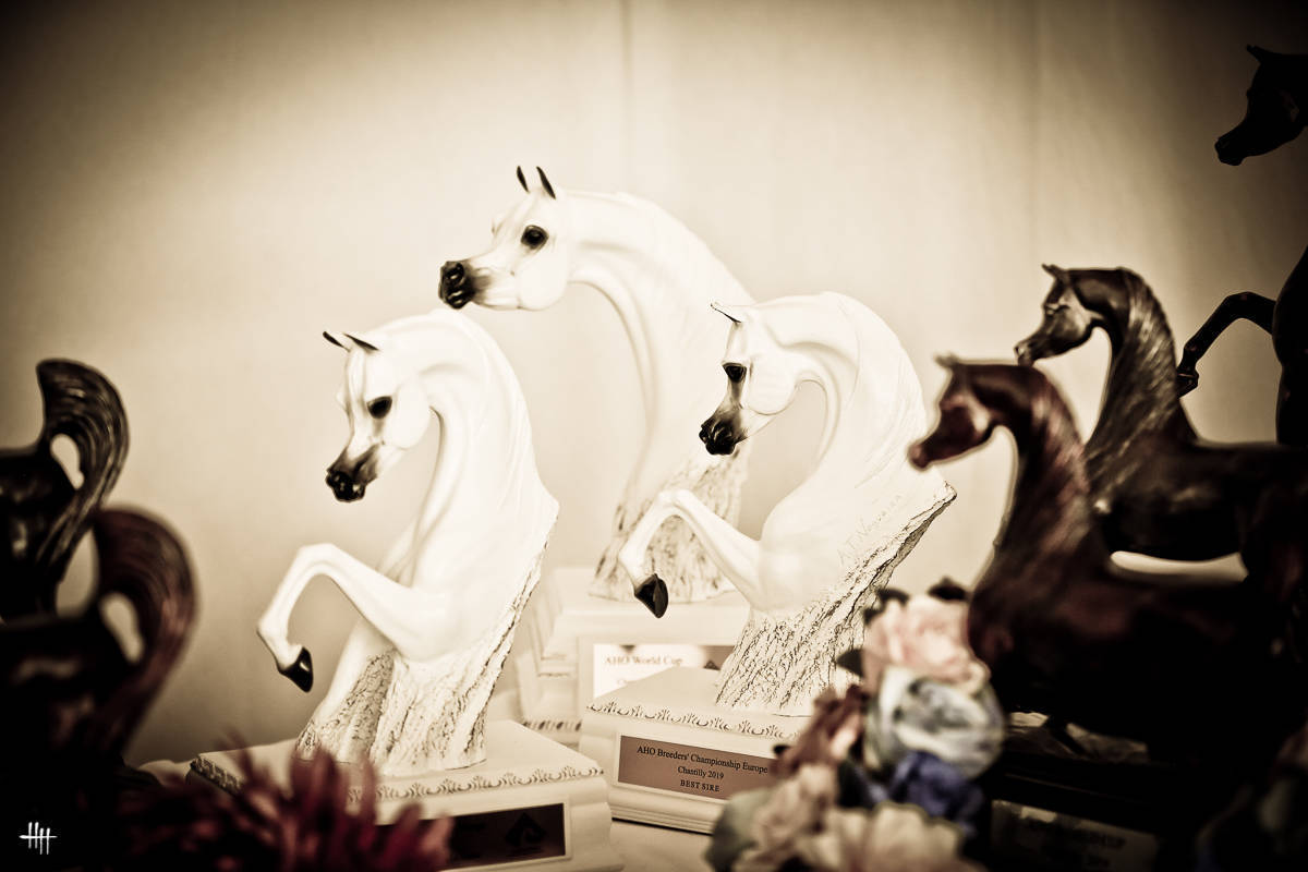 AHO World Cup - Chantilly 2019