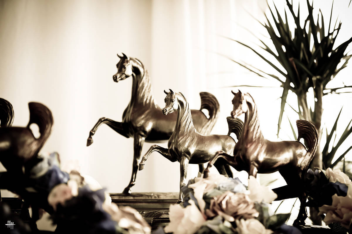 AHO World Cup - Chantilly 2019