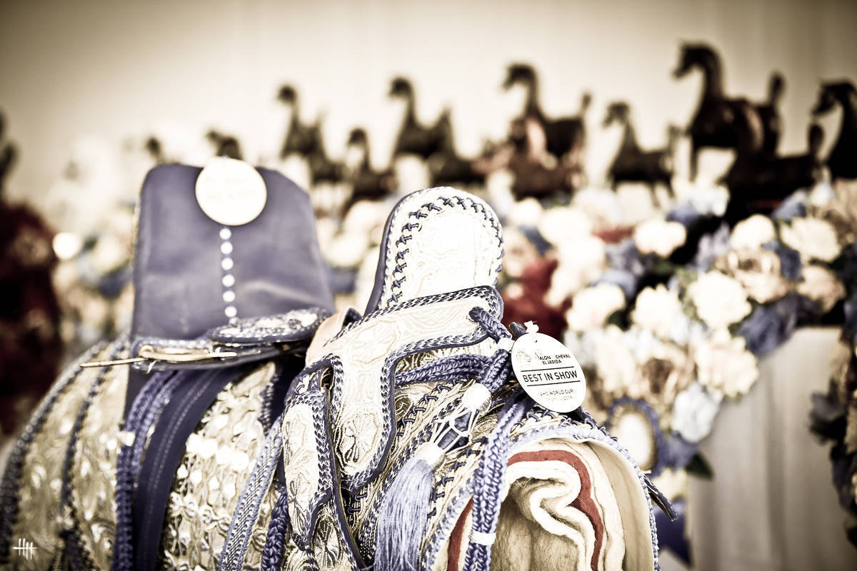 AHO World Cup - Chantilly 2019