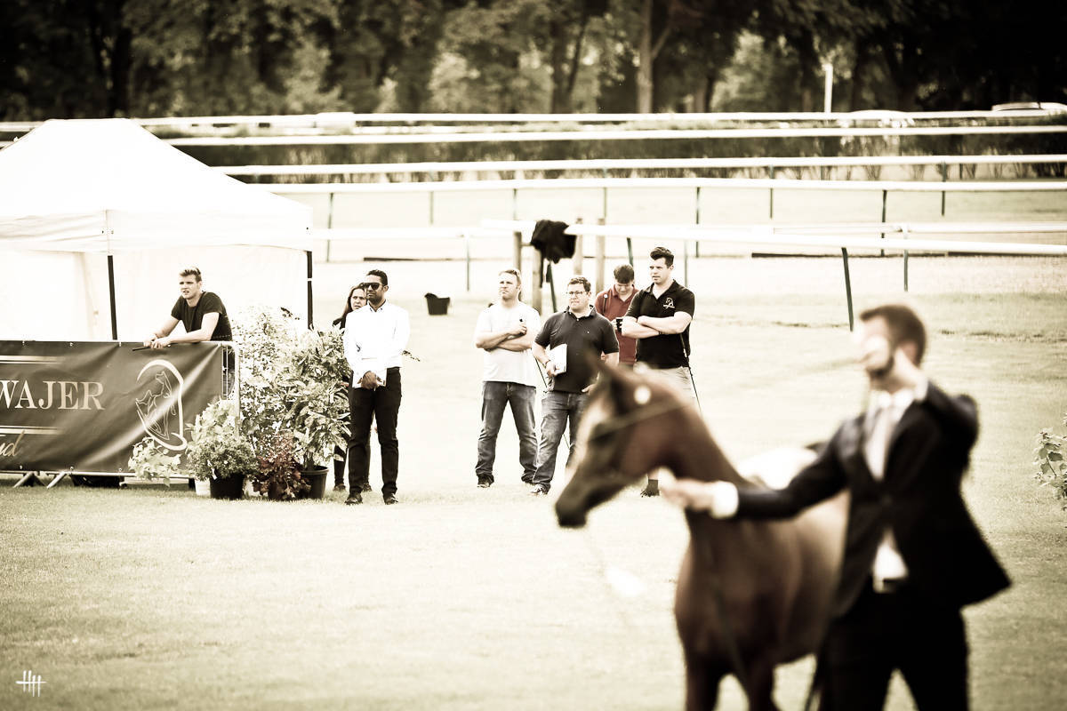 AHO World Cup - Chantilly 2019