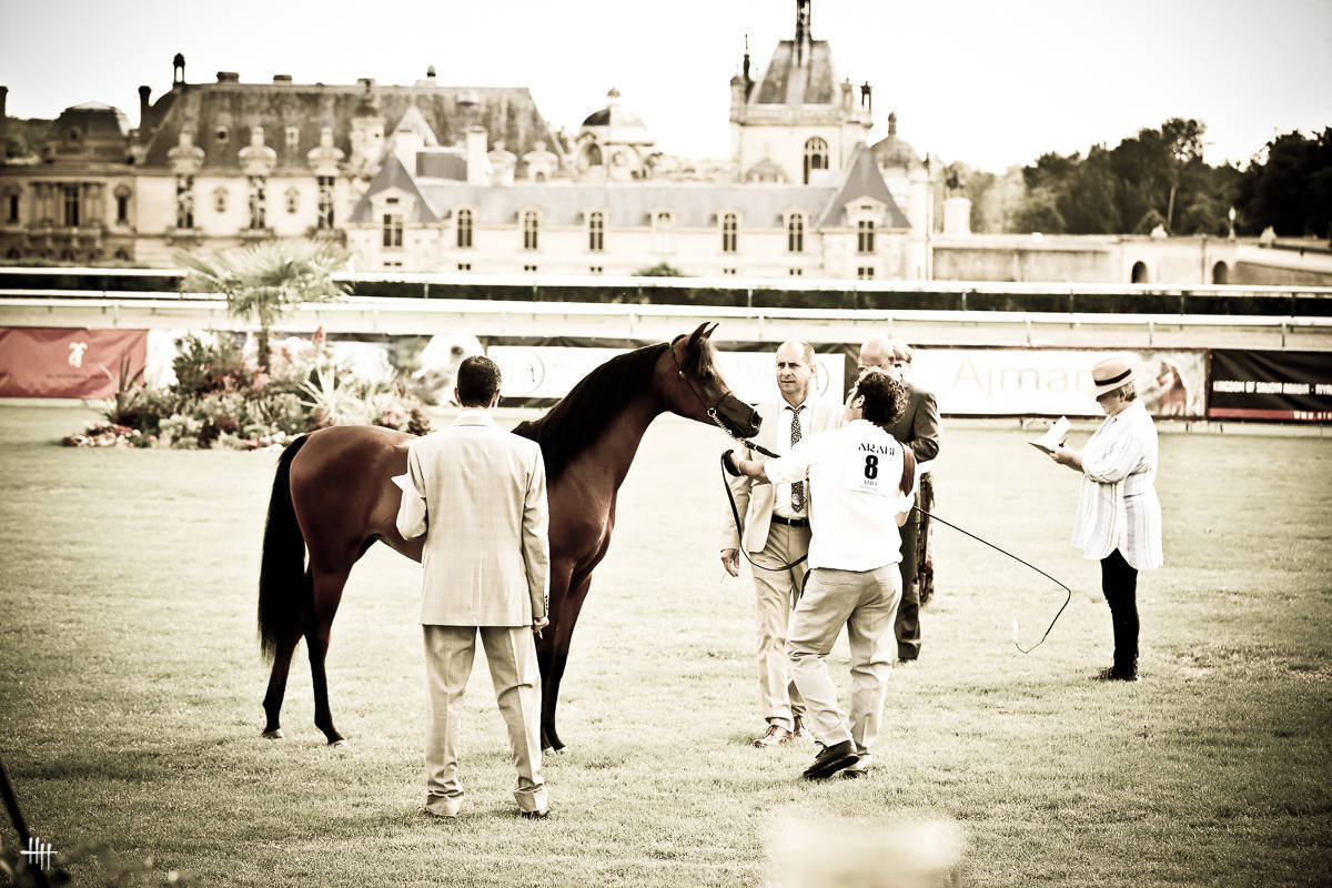 AHO World Cup - Chantilly 2019