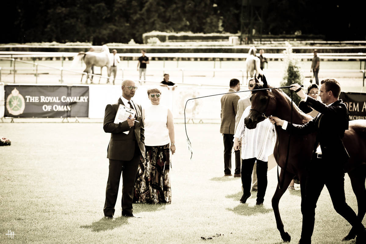 AHO World Cup - Chantilly 2019