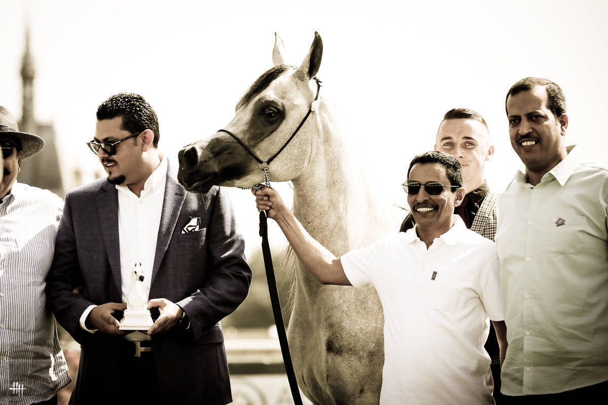 AHO World Cup - Chantilly 2019