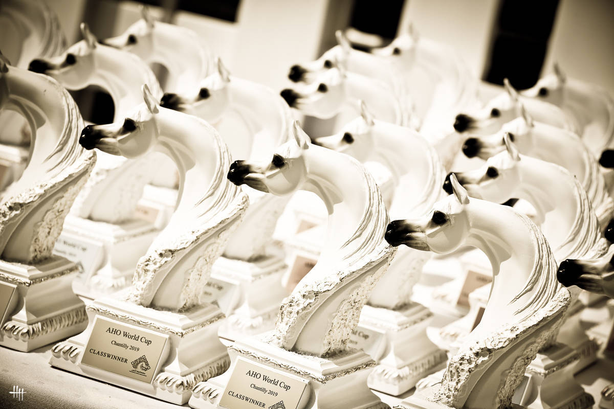AHO World Cup - Chantilly 2019