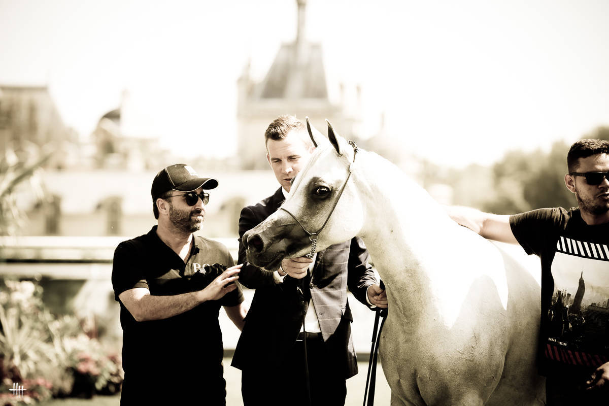 AHO World Cup - Chantilly 2019