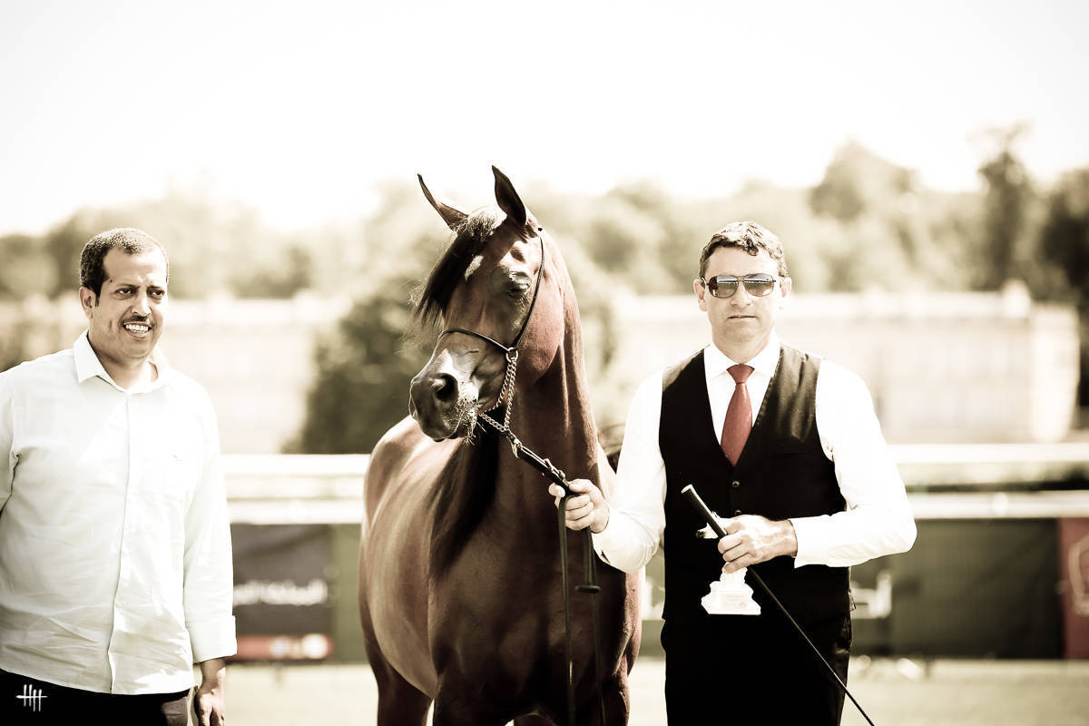 AHO World Cup - Chantilly 2019