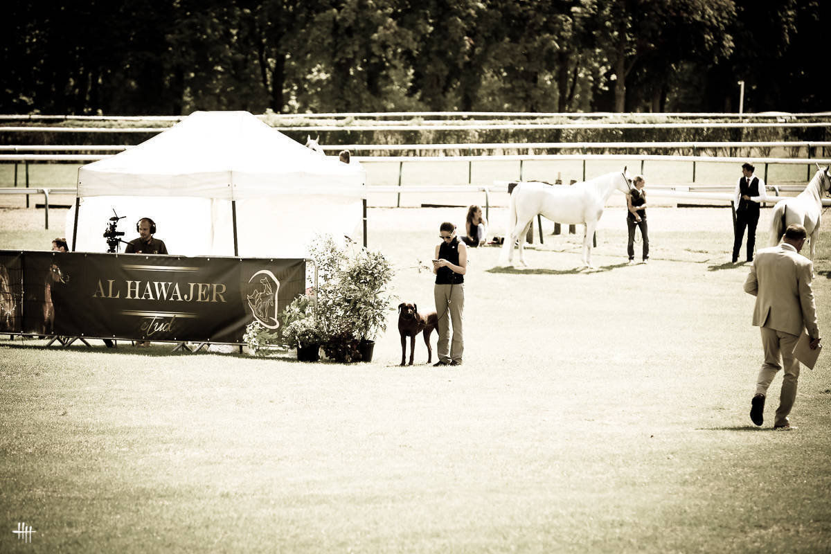 AHO World Cup - Chantilly 2019