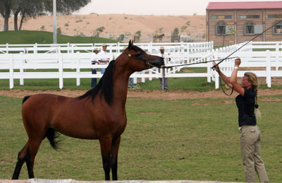 Dubai Day 6 - Mary Lang and Marajj 