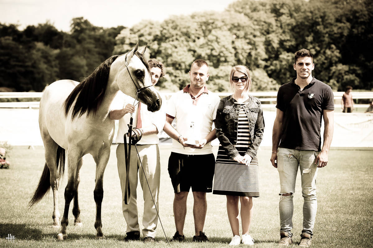 AHO World Cup - Chantilly 2019