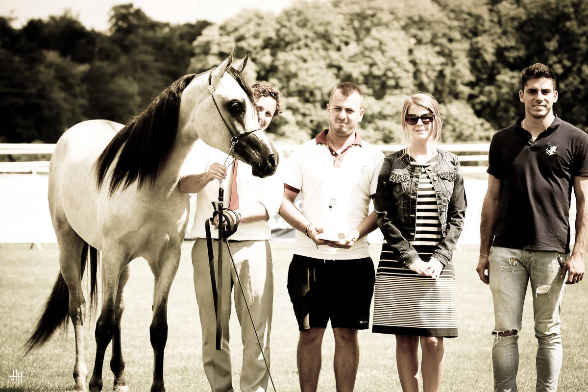 AHO World Cup - Chantilly 2019