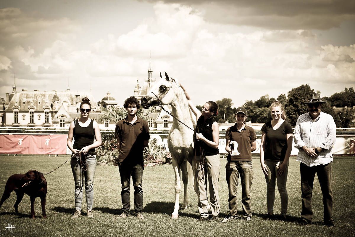 AHO World Cup - Chantilly 2019