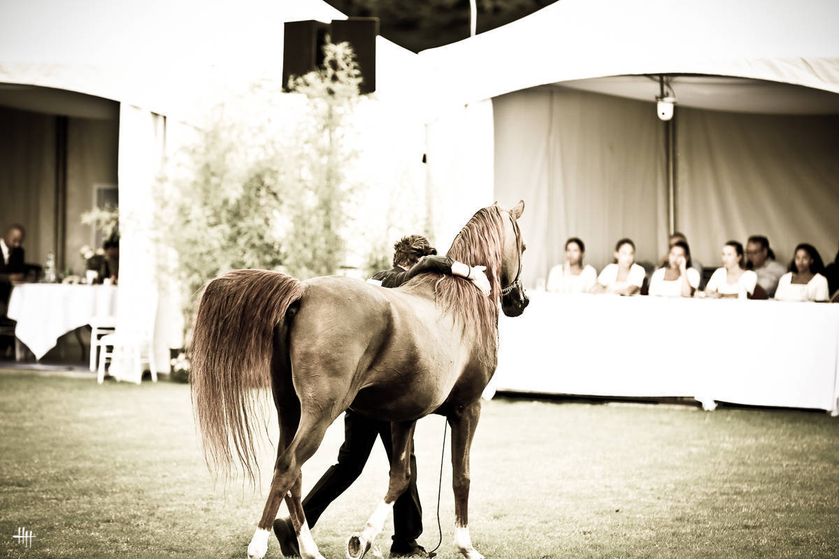 AHO World Cup - Chantilly 2019