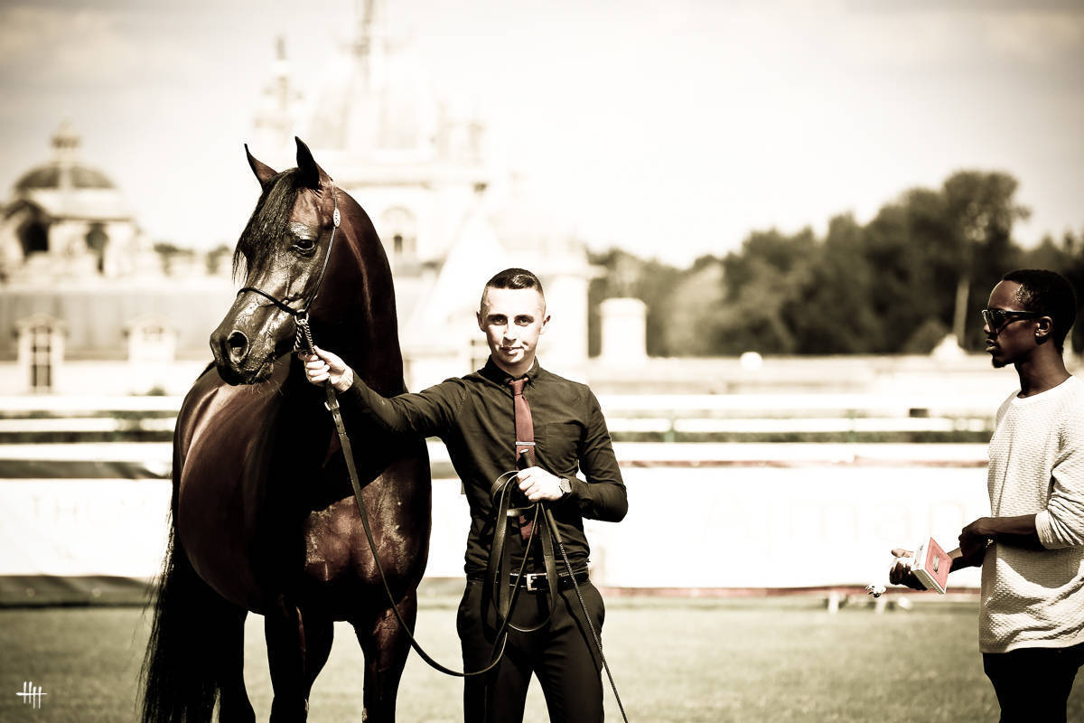 AHO World Cup - Chantilly 2019