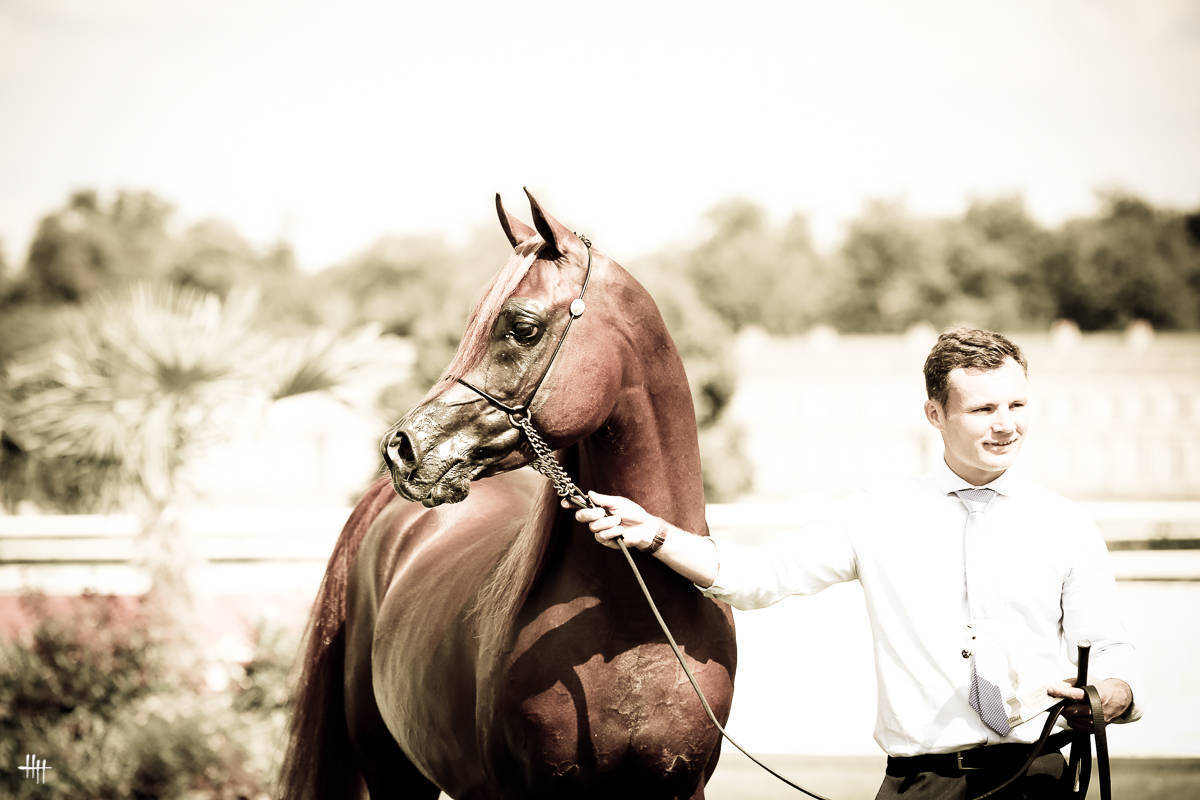 AHO World Cup - Chantilly 2019