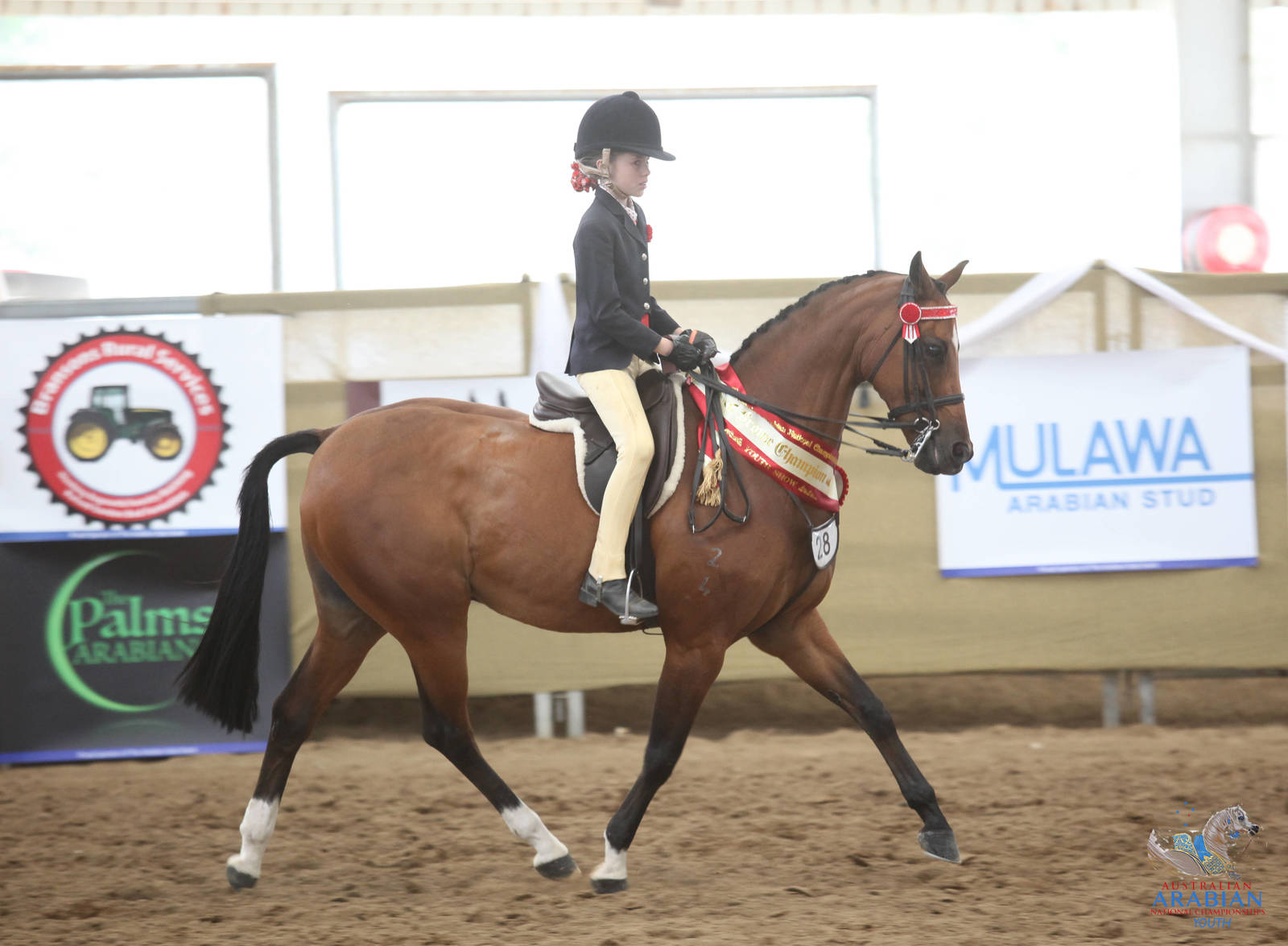 2017 AAYNC Australian Arabian Youth National Championships