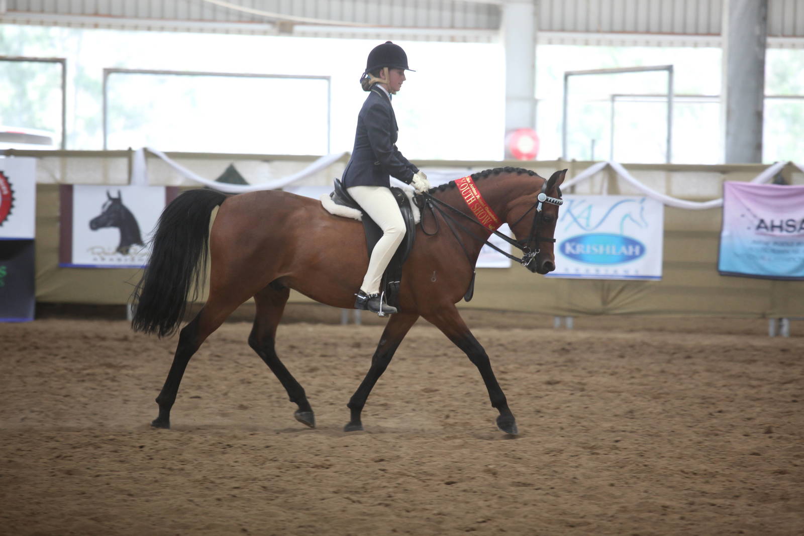 2017 AAYNC Australian Arabian Youth National Championships