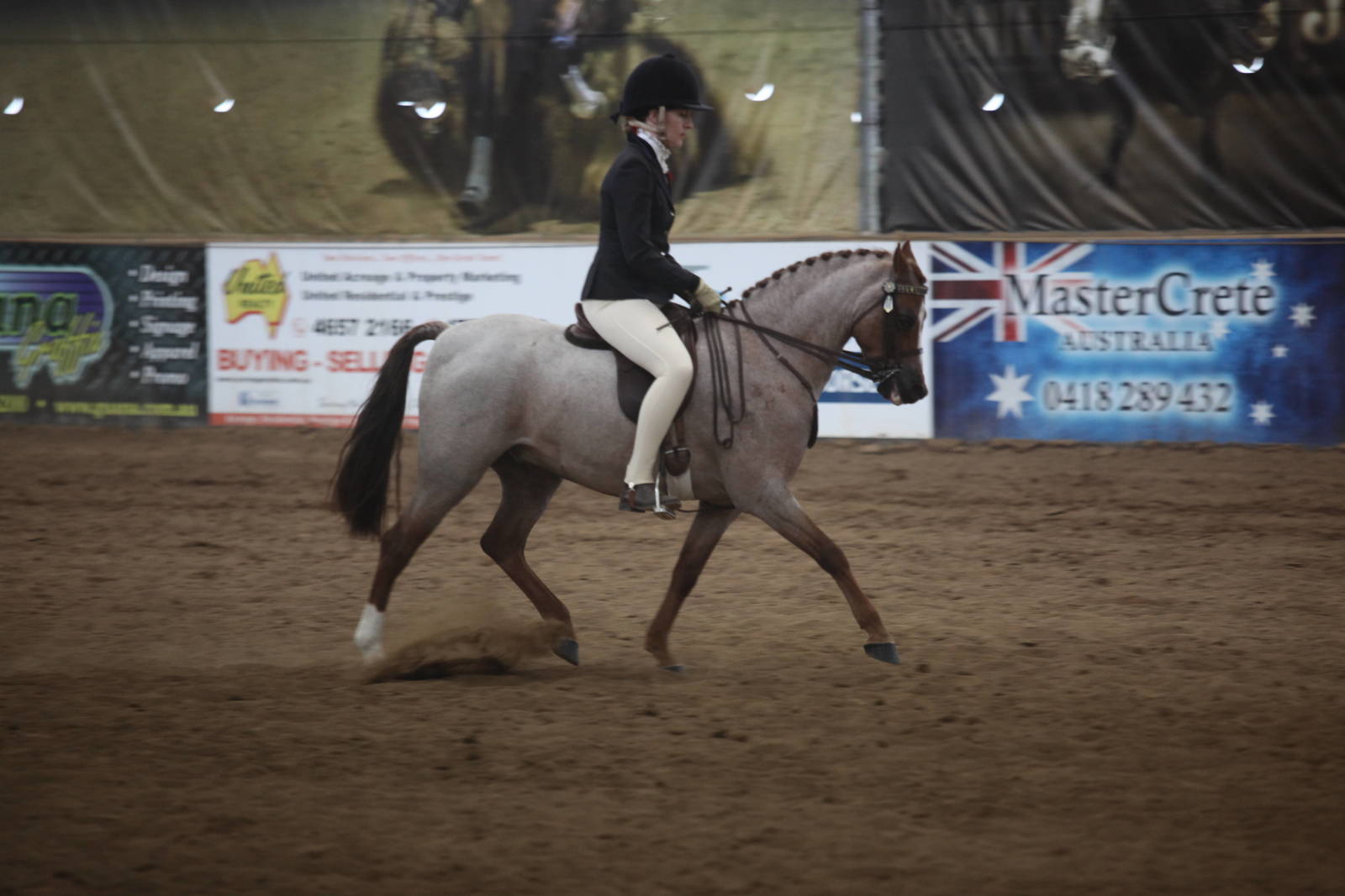 2017 AAYNC Australian Arabian Youth National Championships
