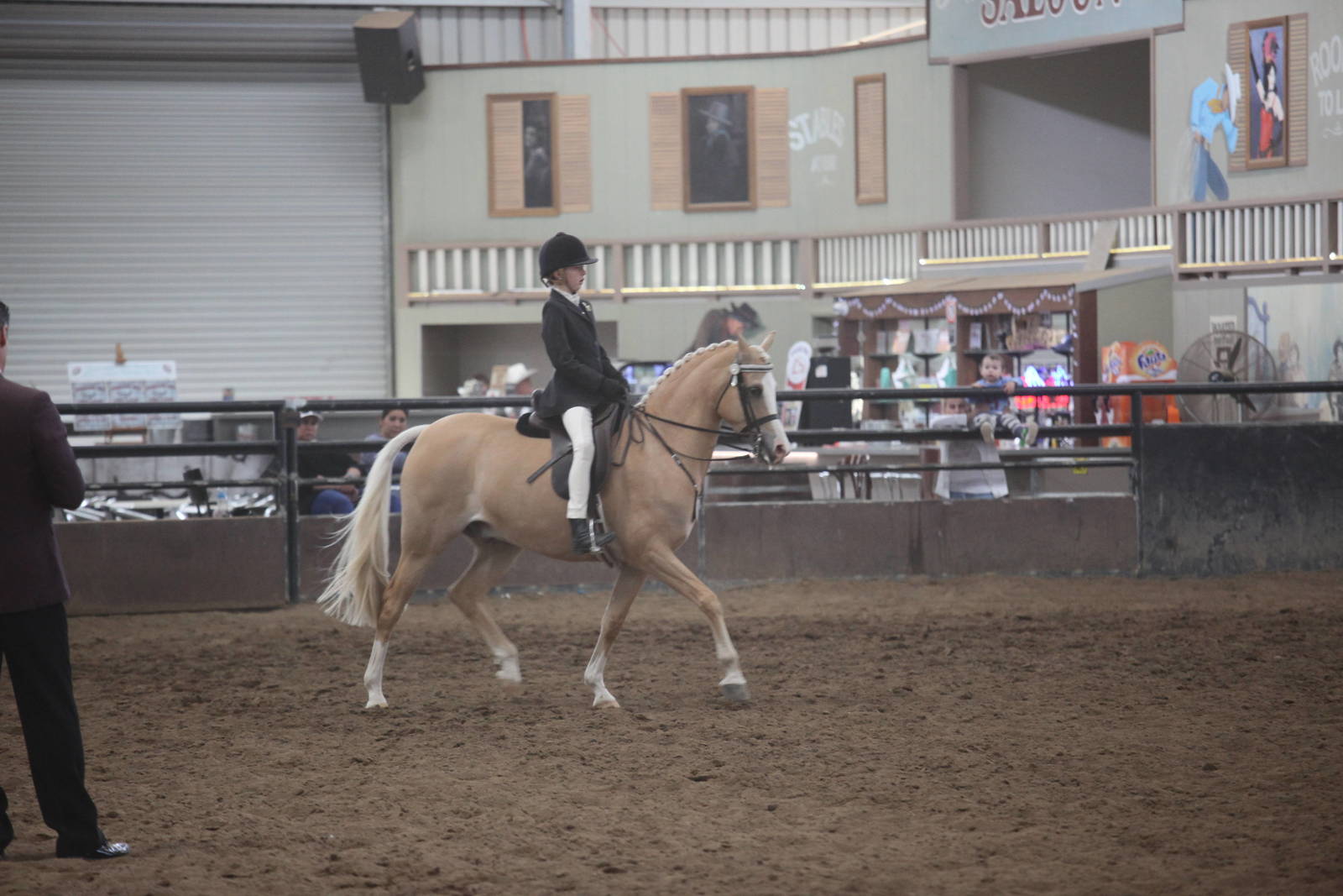 2017 AAYNC Australian Arabian Youth National Championships