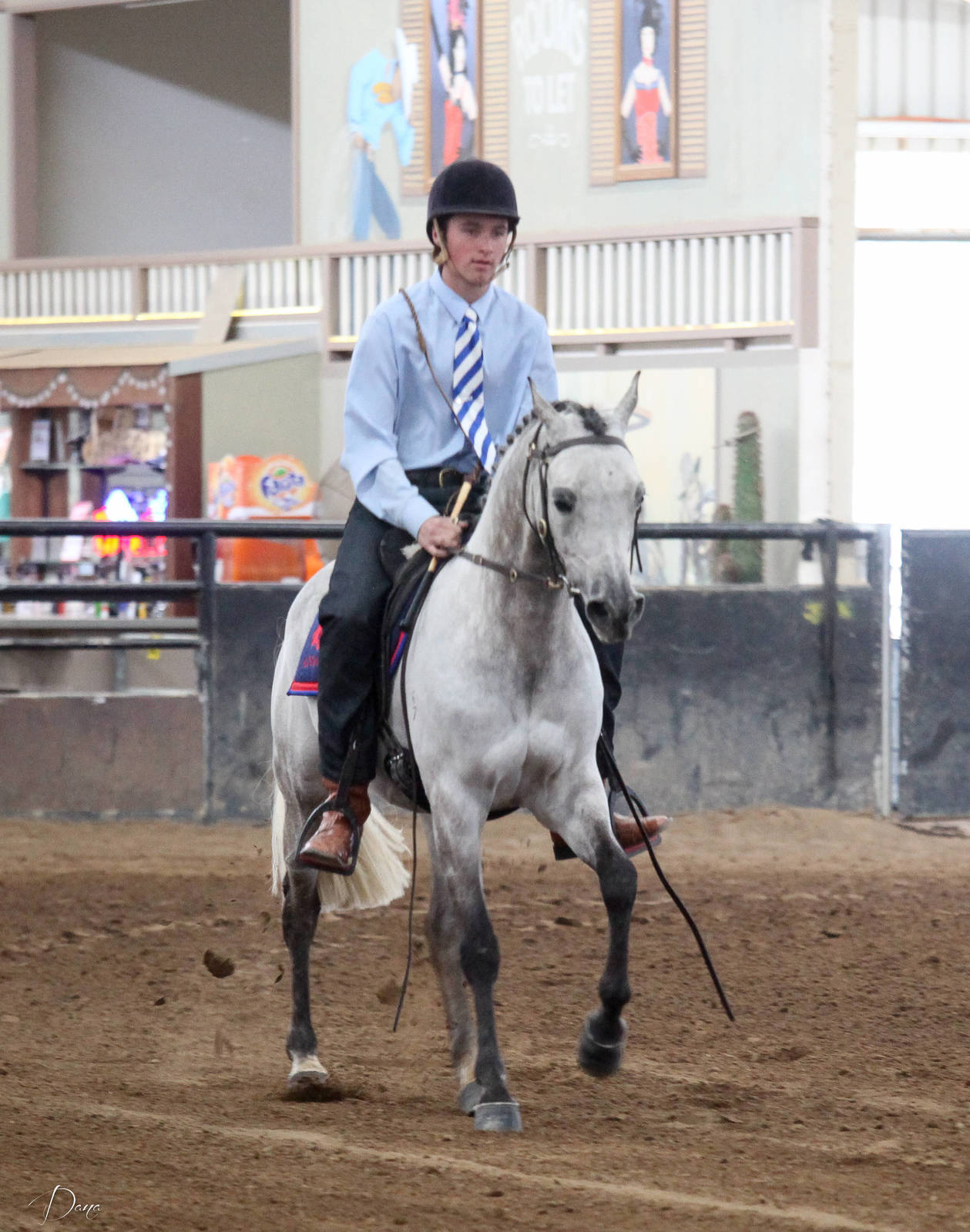 2017 AAYNC Australian Arabian Youth National Championships