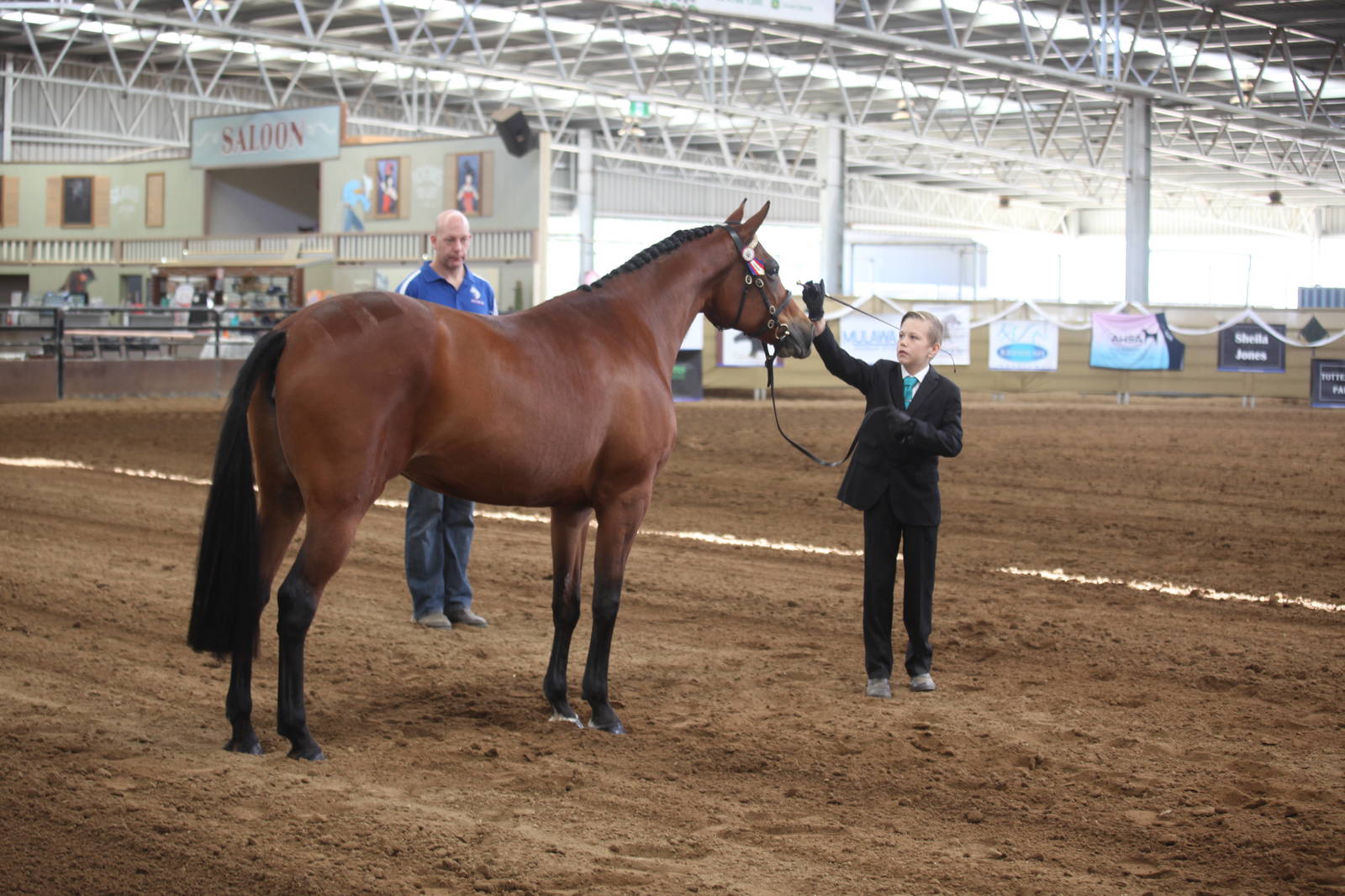 2017 AAYNC Australian Arabian Youth National Championships