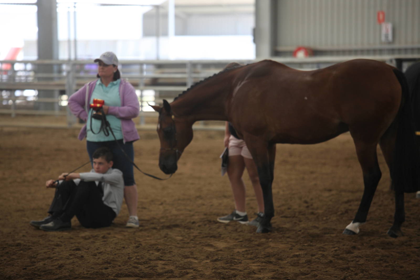 2017 AAYNC Australian Arabian Youth National Championships