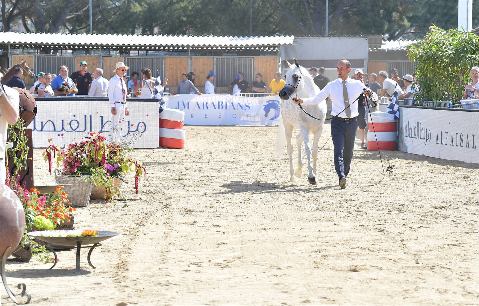 The 2019 Mediterranean & Arab Countries Arabian Horse Championship: MENTON!    
