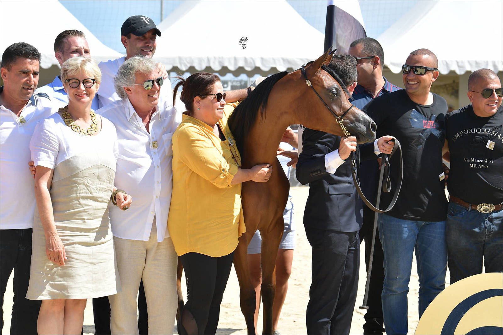 The 2019 Mediterranean & Arab Countries Arabian Horse Championship: MENTON!    