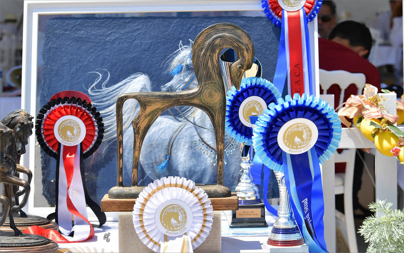 The 2019 Mediterranean & Arab Countries Arabian Horse Championship: MENTON!    