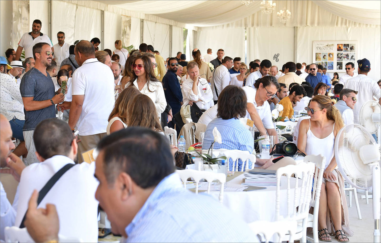 The 2019 Mediterranean & Arab Countries Arabian Horse Championship: MENTON!    