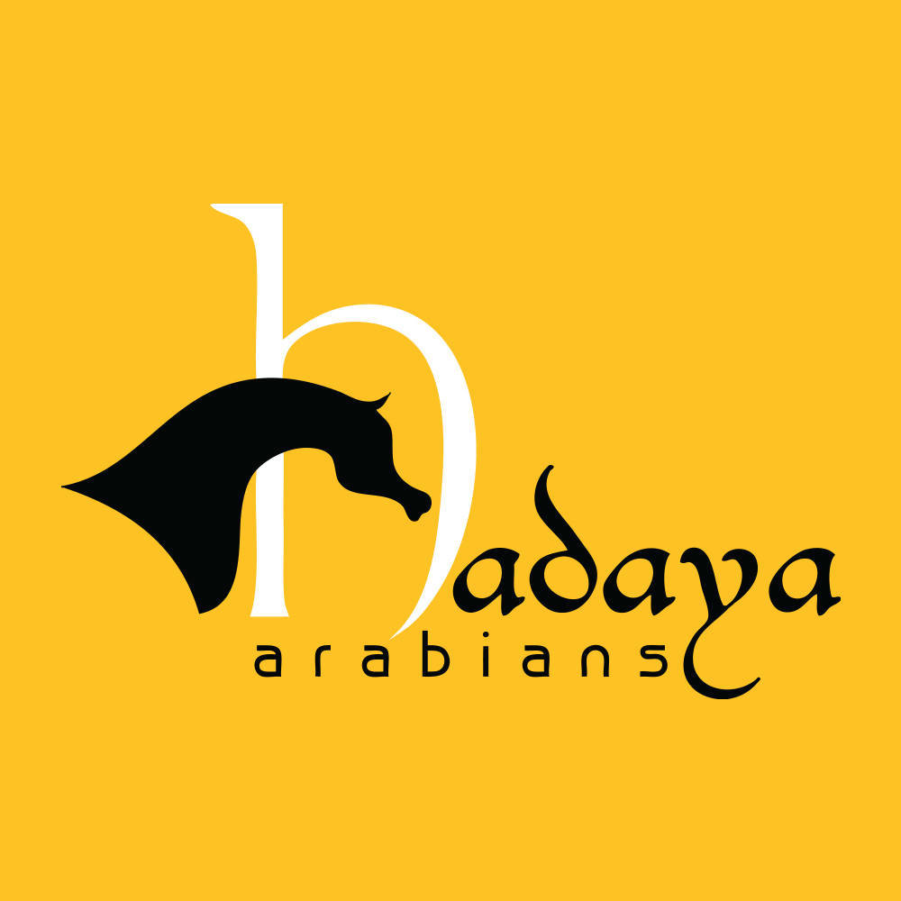 Hadaya Arabians