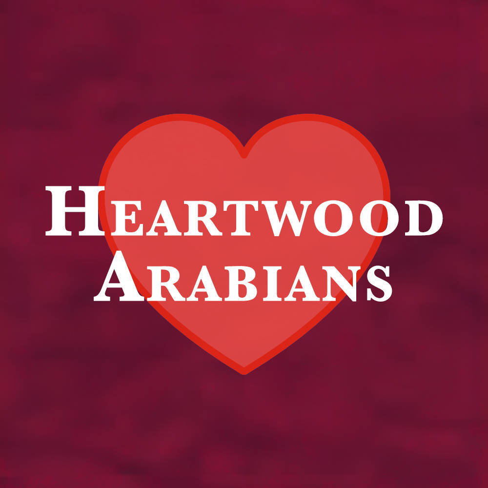 Heartwood Arabians