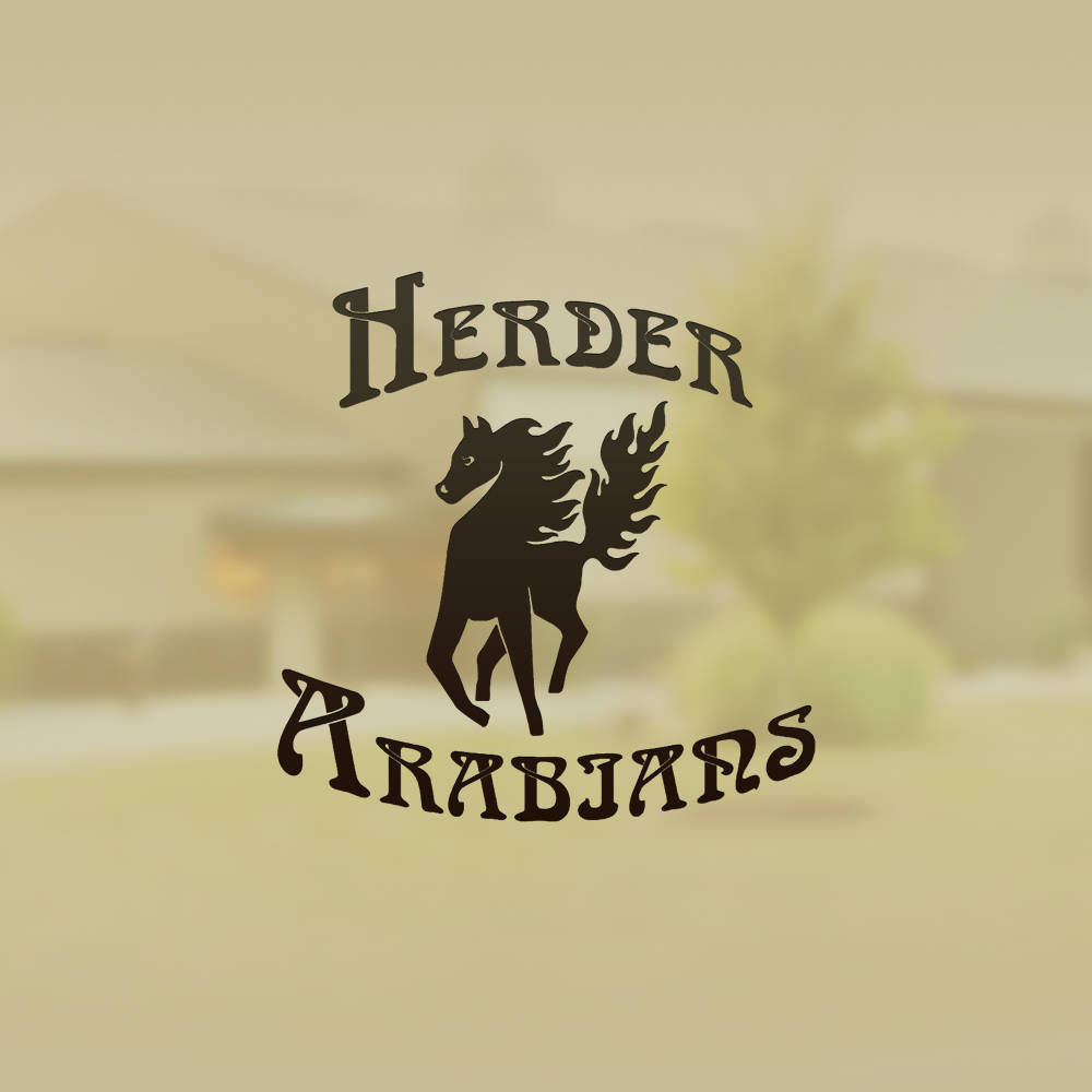 Herder Arabians