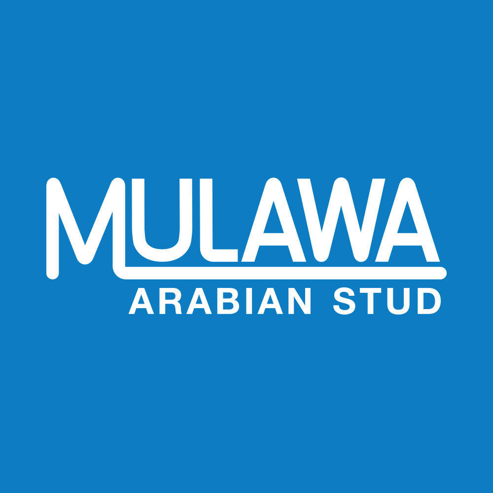 Mulawa Arabian Stud