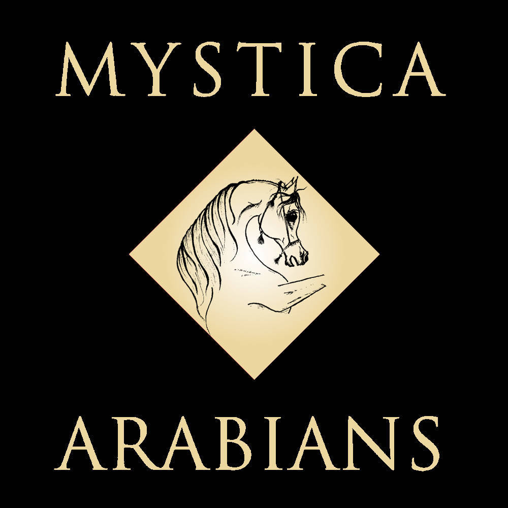 Mystica Arabians