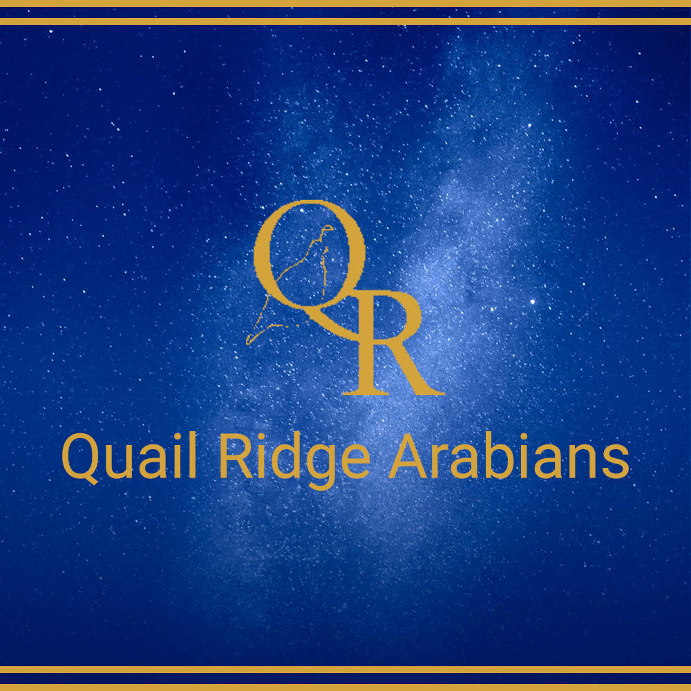Quail Ridge Arabians