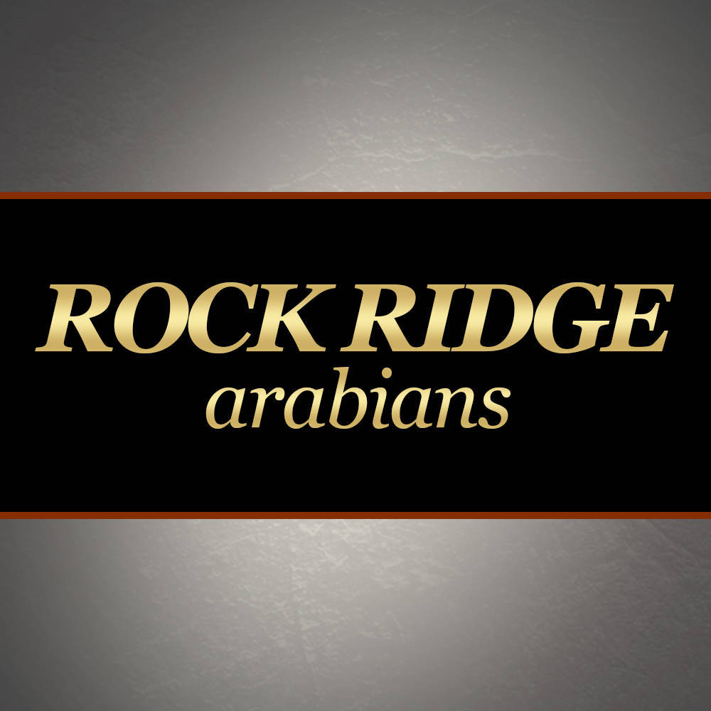Rock Ridge Arabians
