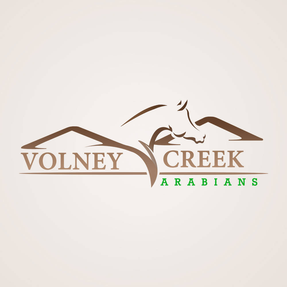 Volney Creek Arabians