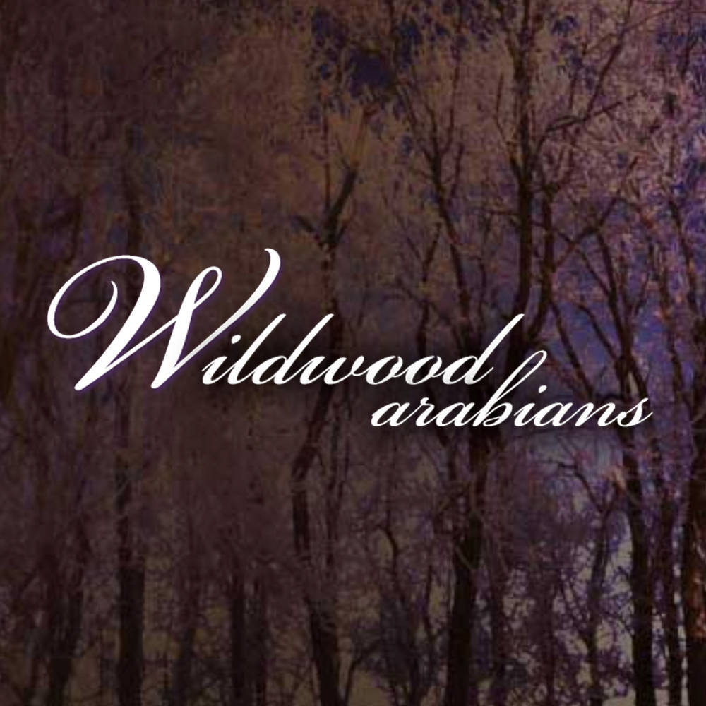 Wildwood Arabians